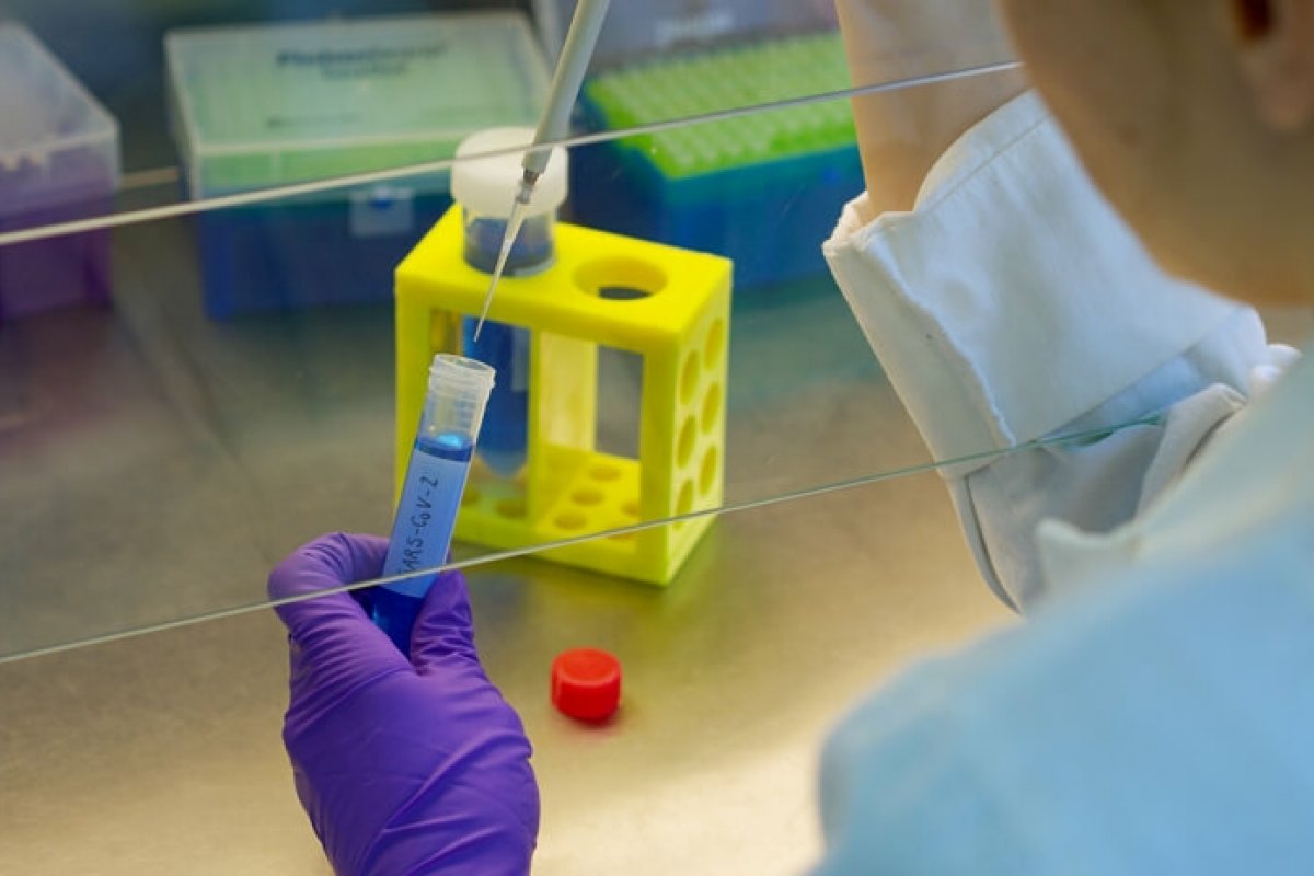 Estudo revela que corpo pode ficar imune ao coronavírus por anos