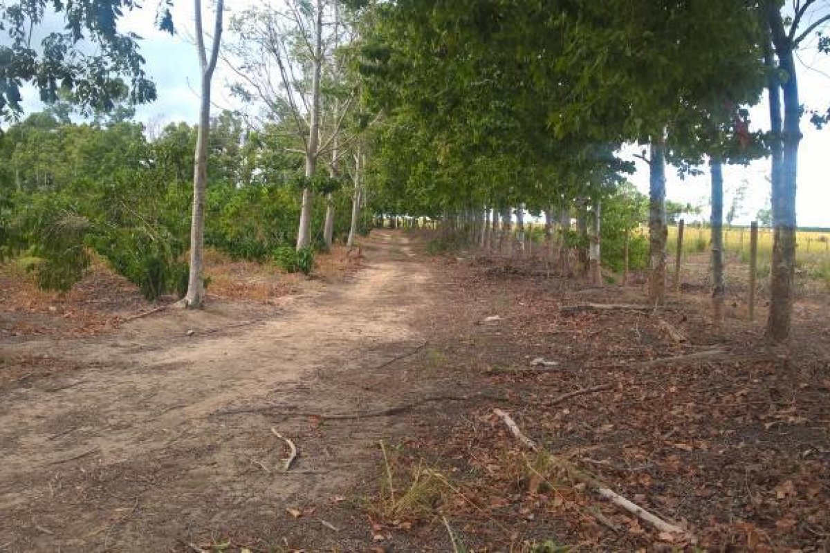 Trabalhadores rurais em condições análogas à escravidão são resgatados em van