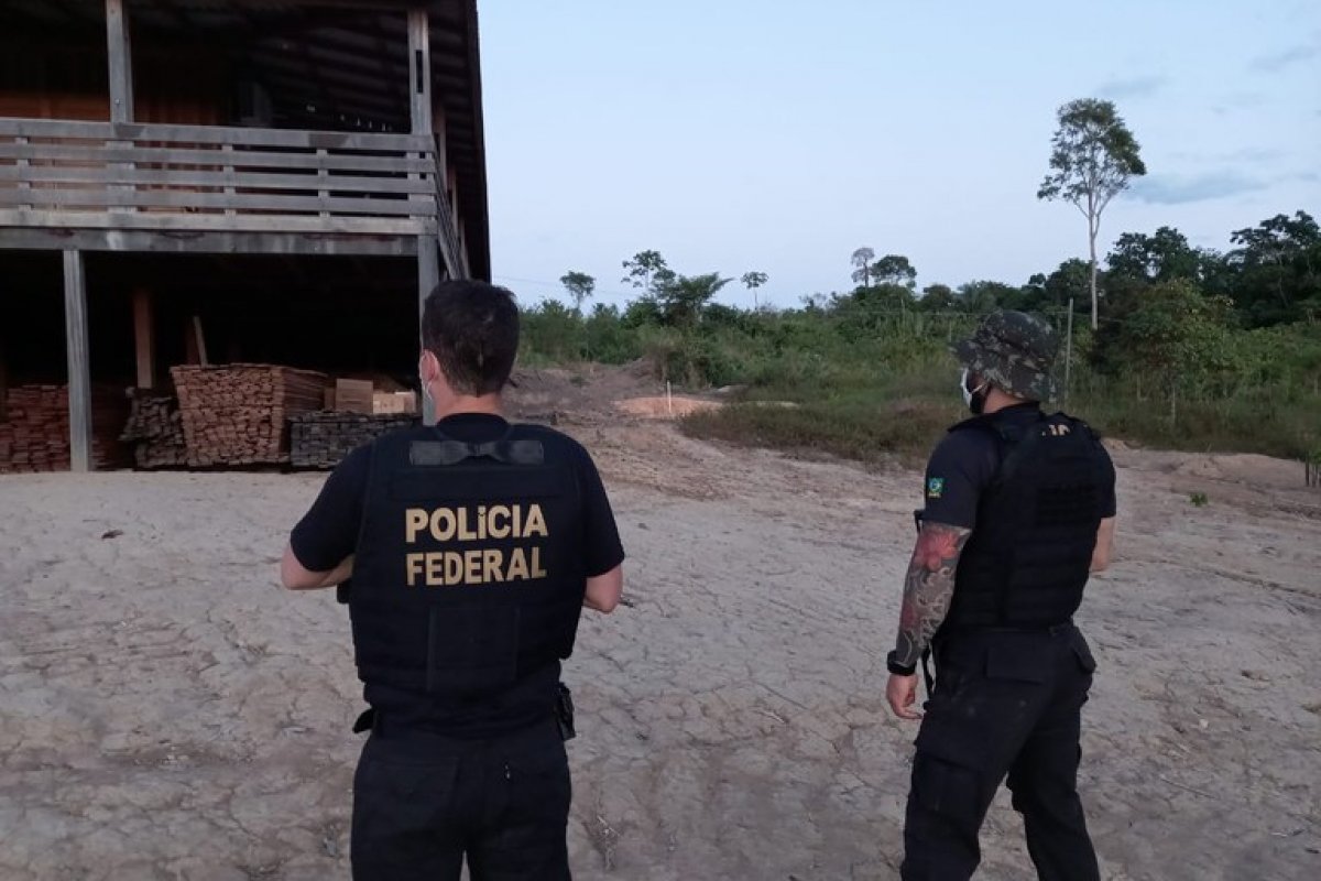 PF deflagra operação contra desmatamento ilegal no Pará