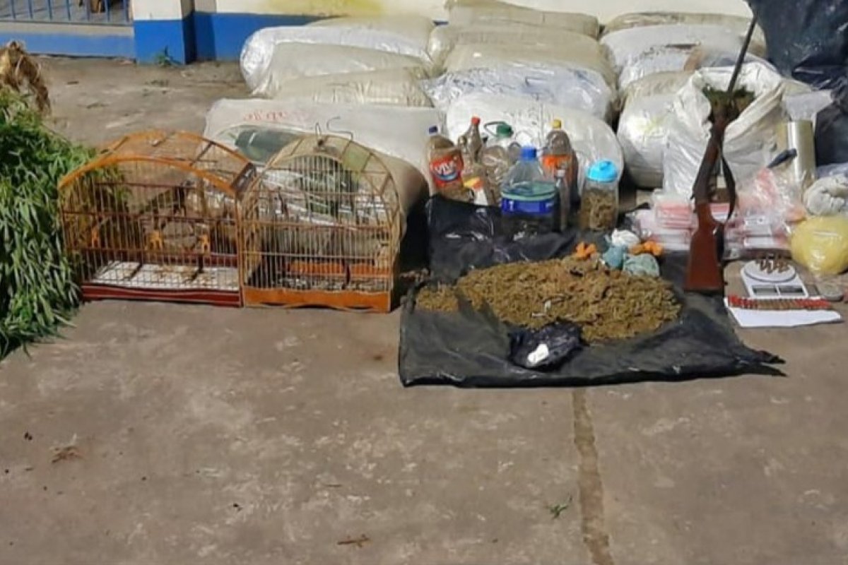 Ação policial apreende meia tonelada de maconha em Varzedo