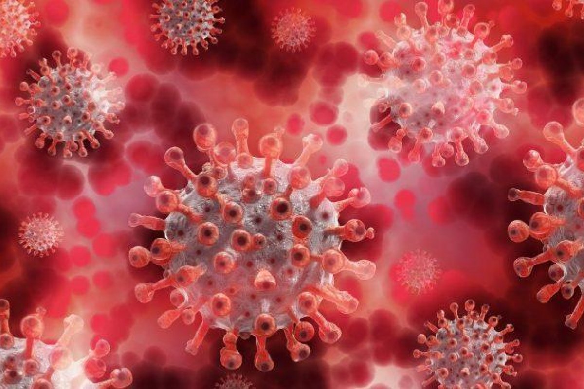 Brasil registra mais de 52 mil novos infectados pela covid-19