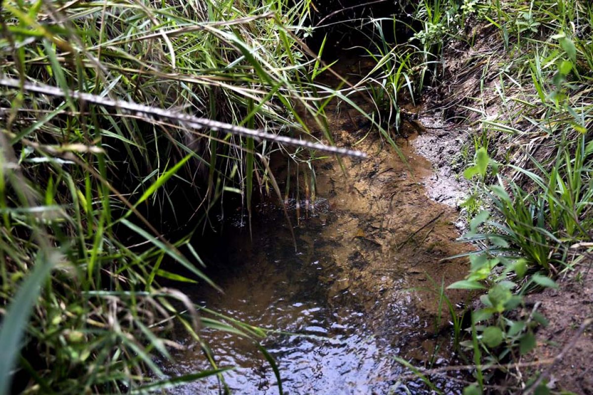 Prêmio ANA 2020 tem inscrições prorrogadas