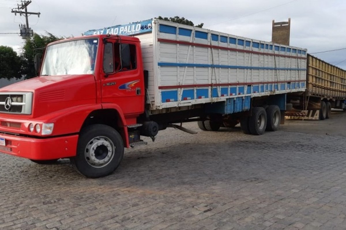 PRF resgata 18 gados furtados de fazendas dentro de caminhões em posto de combustíveis