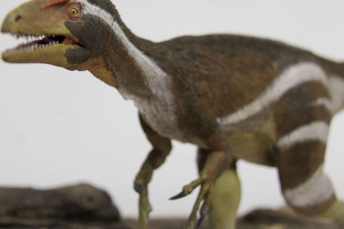 Estudo aponta que dinossauros também tinham câncer