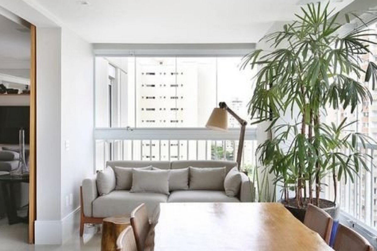 Decor tropical: Palmeiras dentro de casa