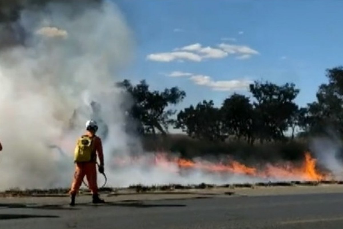 Incêndio atinge margens da BR-242, no oeste da Bahia