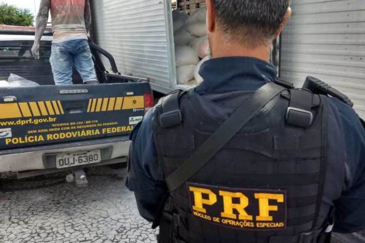 Quase duas toneladas de maconha são apreendidas em Araci