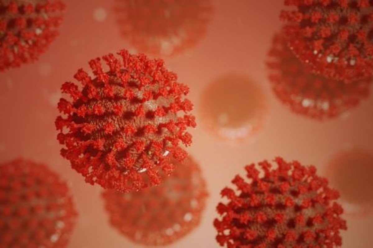 Coronavírus: Veja os últimos dados atualizados da pandemia nesta terça-feira (11)