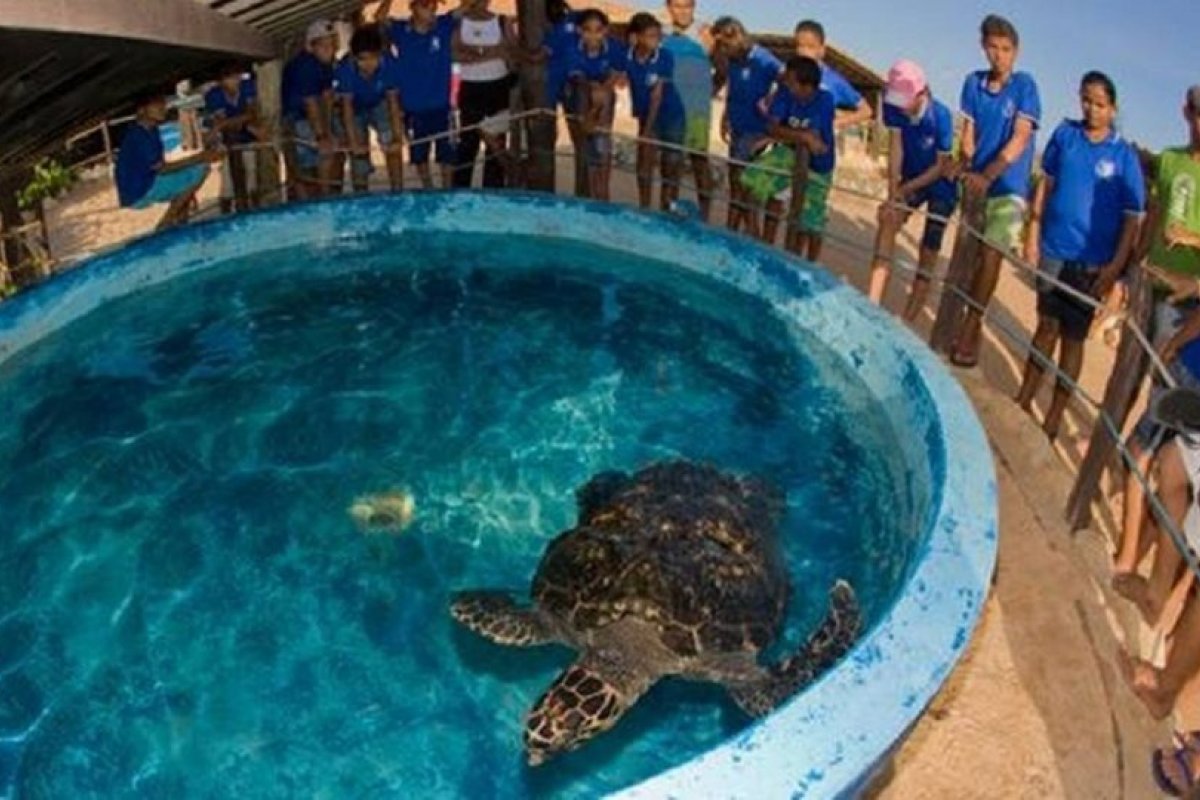 Com UTIS desocupadas, Mata de São João antecipa em cinco dias segunda fase de retomada econômica