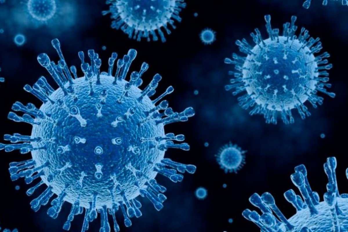 Covid-19: Veja os últimos dados atualizados da pandemia nesta quarta-feira (12)