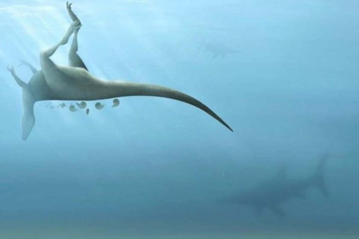 Novo dinossauro é descoberto em ilha britânica