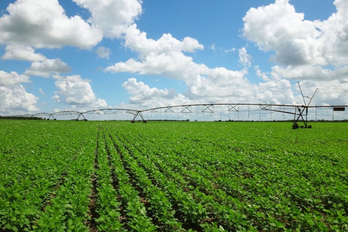 Investimento em "economia verde" pode render R$ 2,8 milhões à economia brasileira, diz estudo