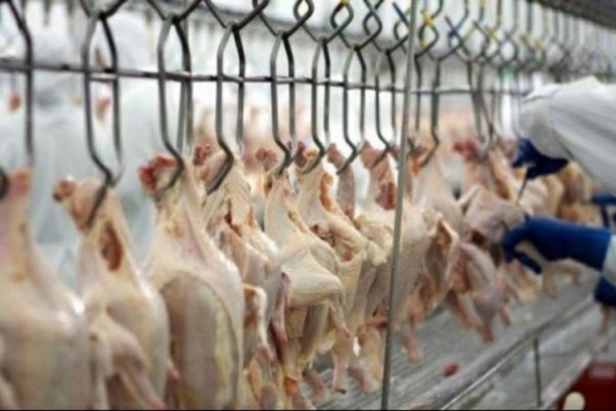 Governo brasileiro pede explicações à China sobre Covid em frango