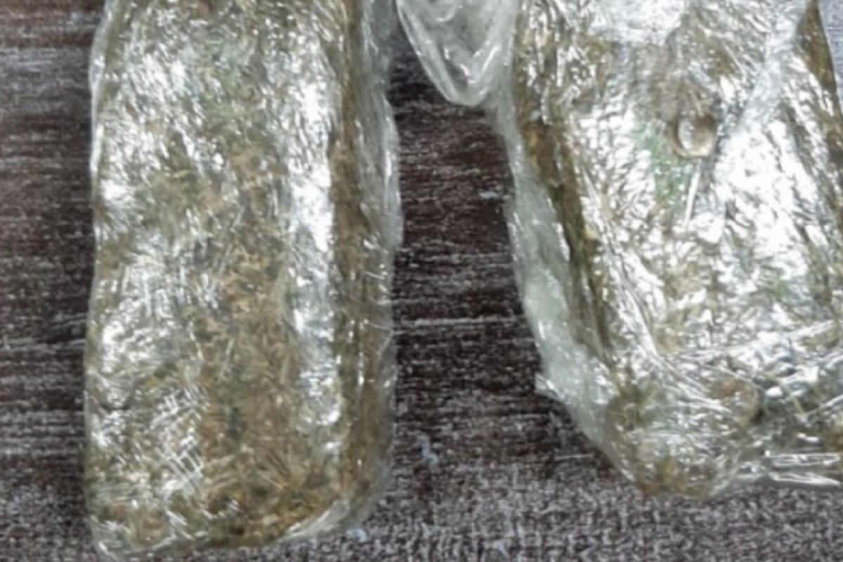 Estudante é flagrada transportando droga escondida em bagagem na BR 242