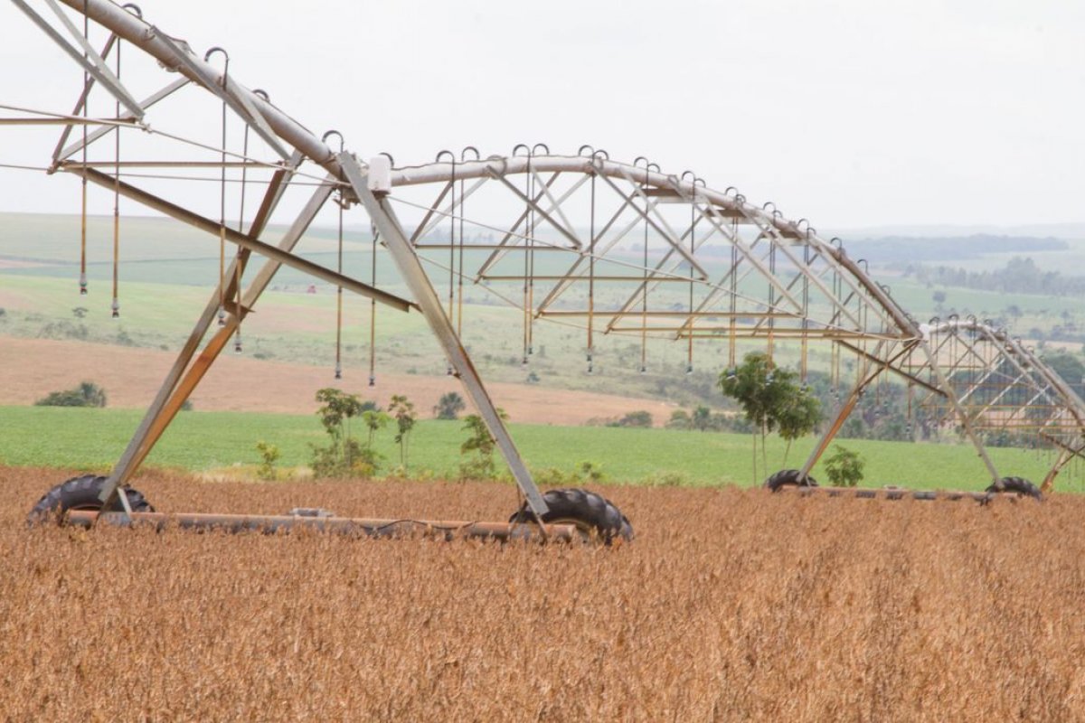 Agronegócio contribuiu para segurar PIB durante a pandemia, diz ministra