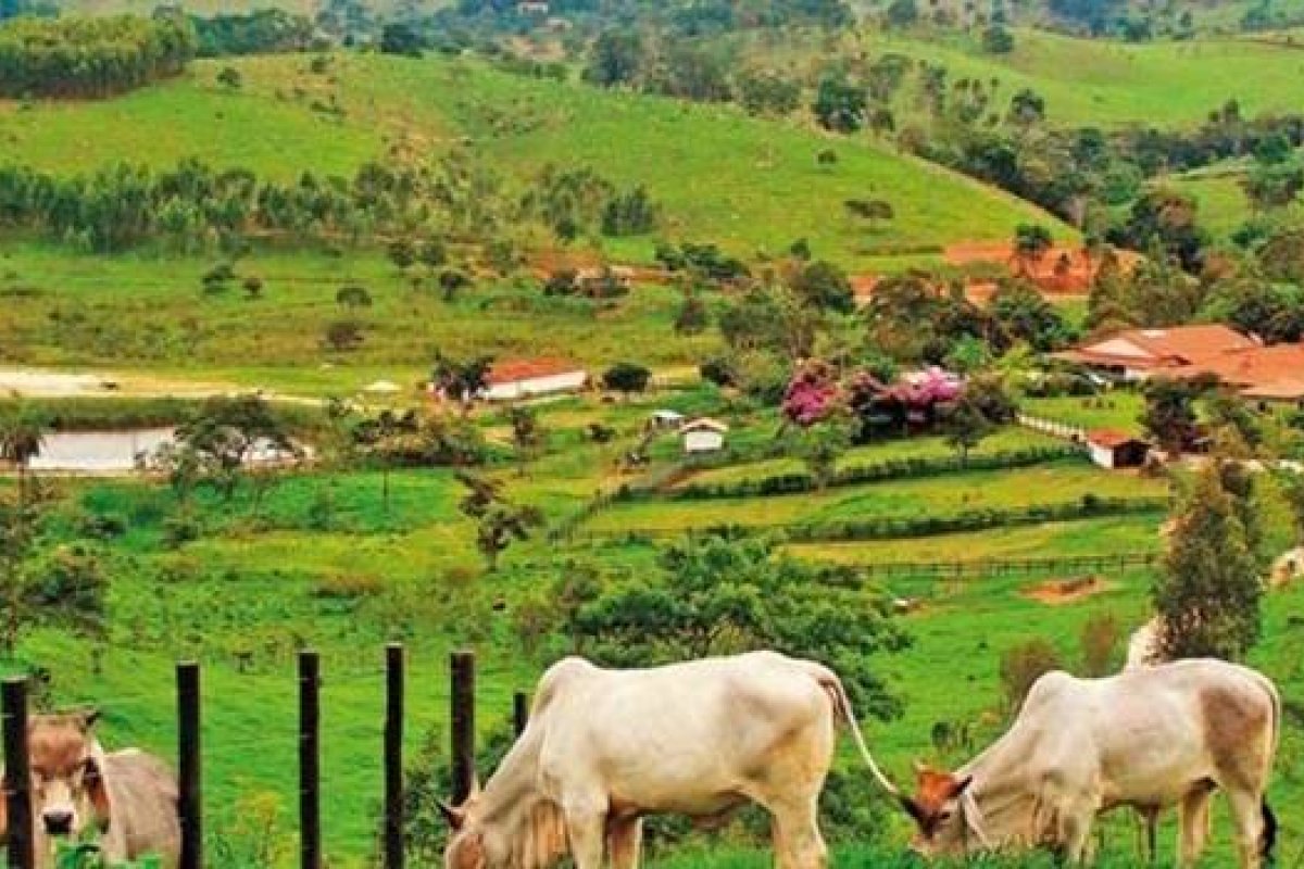 Inicia nesta segunda prazo para entrega da declaração de propriedade rural