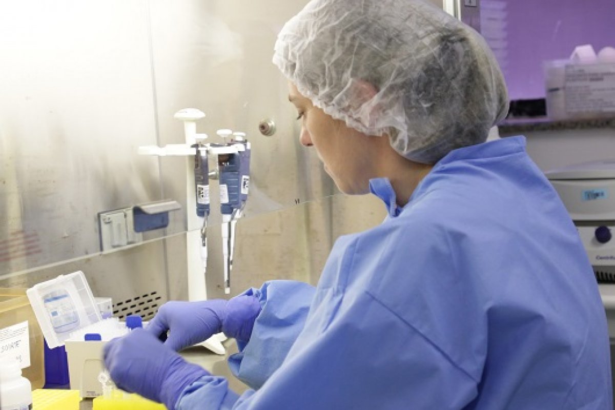 Cientistas descobrem paralisia do sistema imunológico em casos de Covid-19