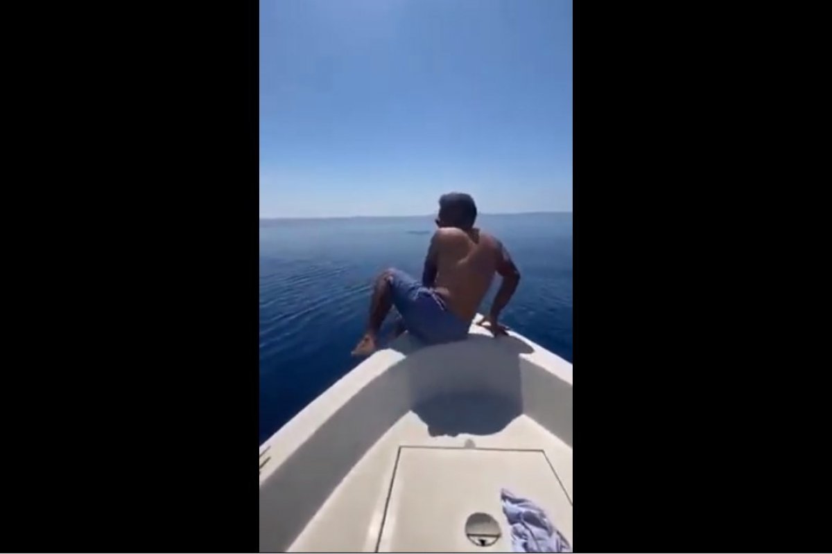Veja: Vídeo mostra homem "montando" um tubarão-baleia