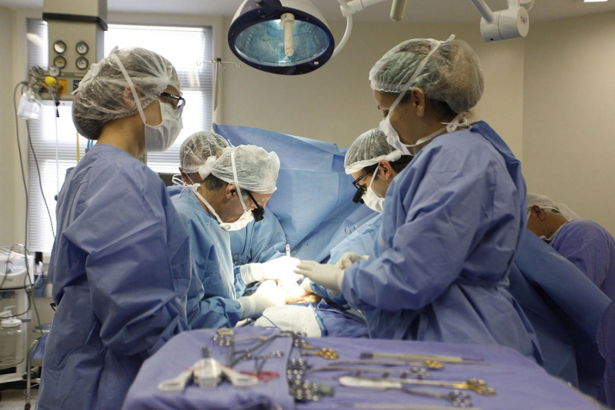 No primeiro semestre, Bahia lidera número de transplantes de rim no Nordeste