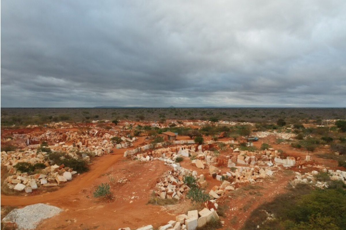 Para compensar danos ecológicos, projeto prevê plantação de 20 mil mudas de plantas nativas em município da Bahia