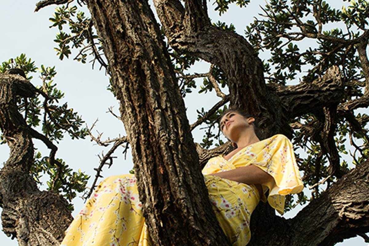 Grife brasileira vai plantar mil árvores por dia para compensar emissões de carbono