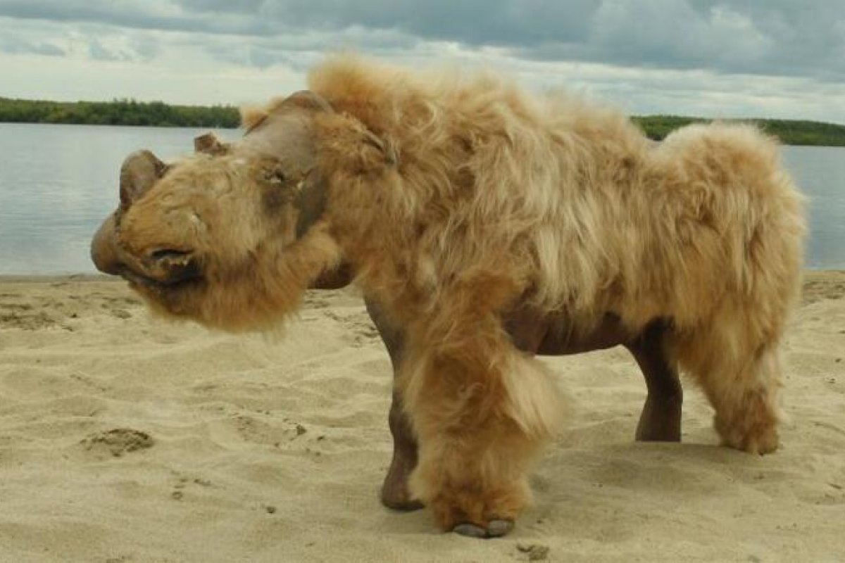 Cão que viveu na Terra há 14 mil anos atrás pode ter comido um dos últimos rinocerontes da espécie lanudo