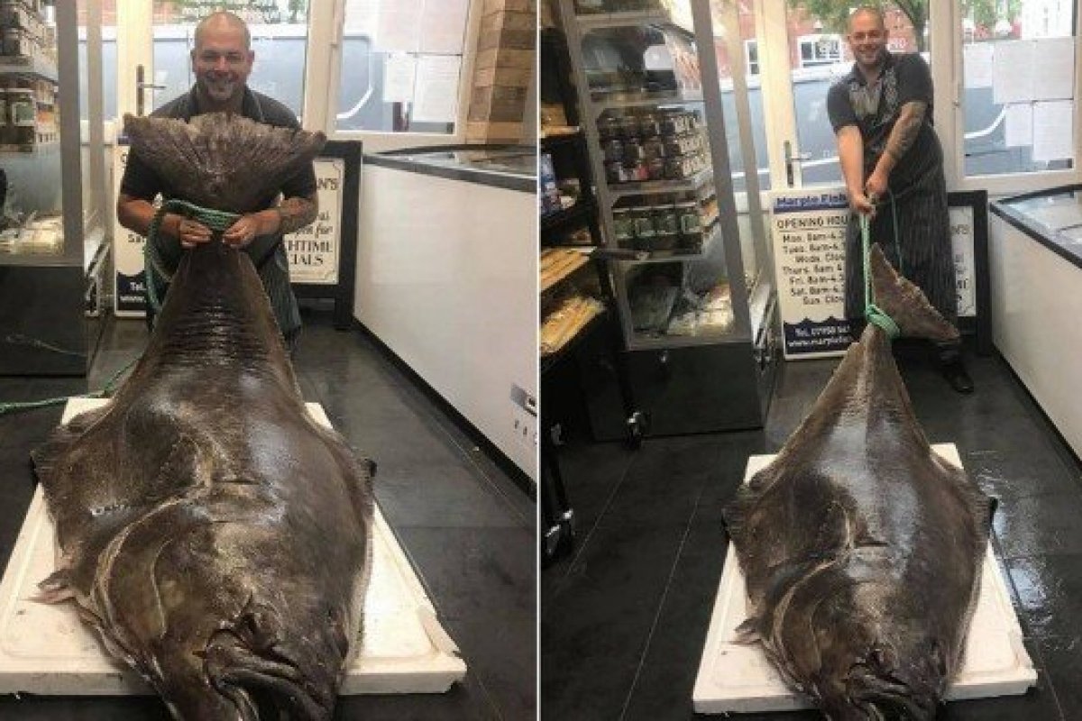 Pescador fisga peixe com mais de 2,5 metros e 134 quilos na Escócia