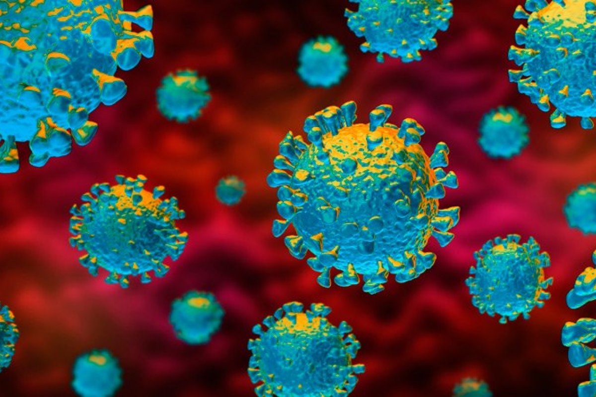 Covid-19: Bahia contabiliza mais 3.618 novos casos e ultrapassa marca de 224 mil infectados