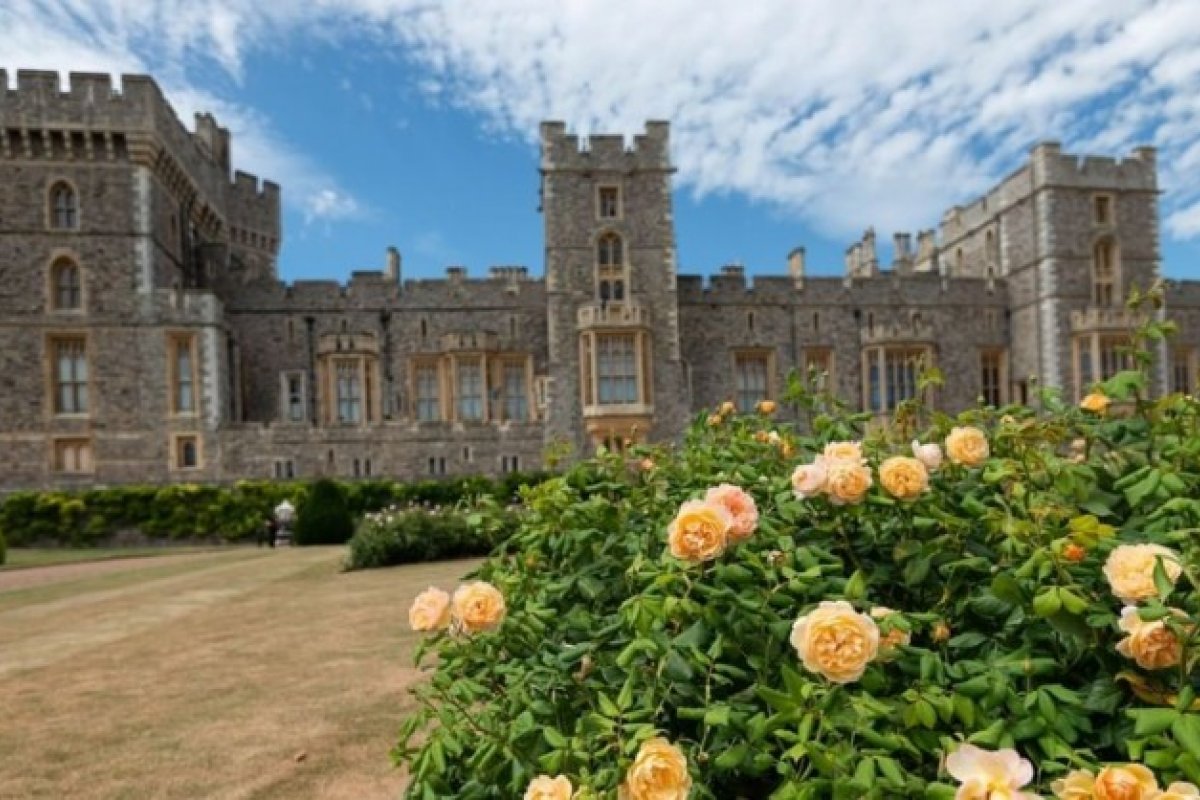 Uau! Após 40 anos, jardim da Rainha Elizabeth é reaberto