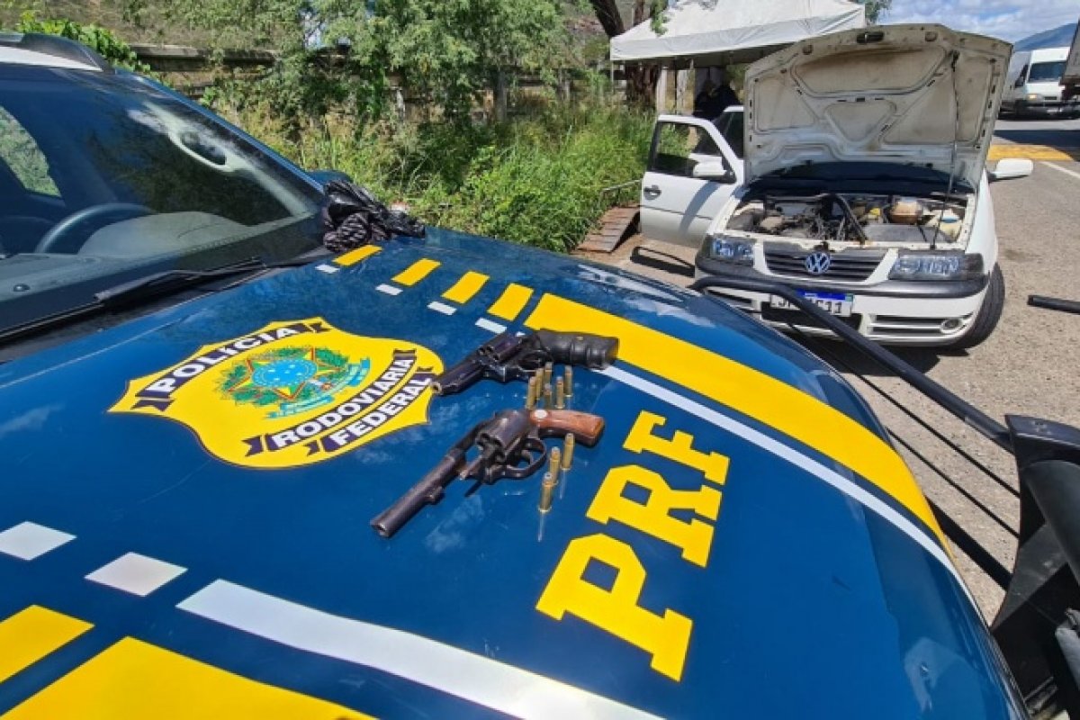 Operação da PRF-BA apreende veículo roubado, armas, munições e aves silvestres