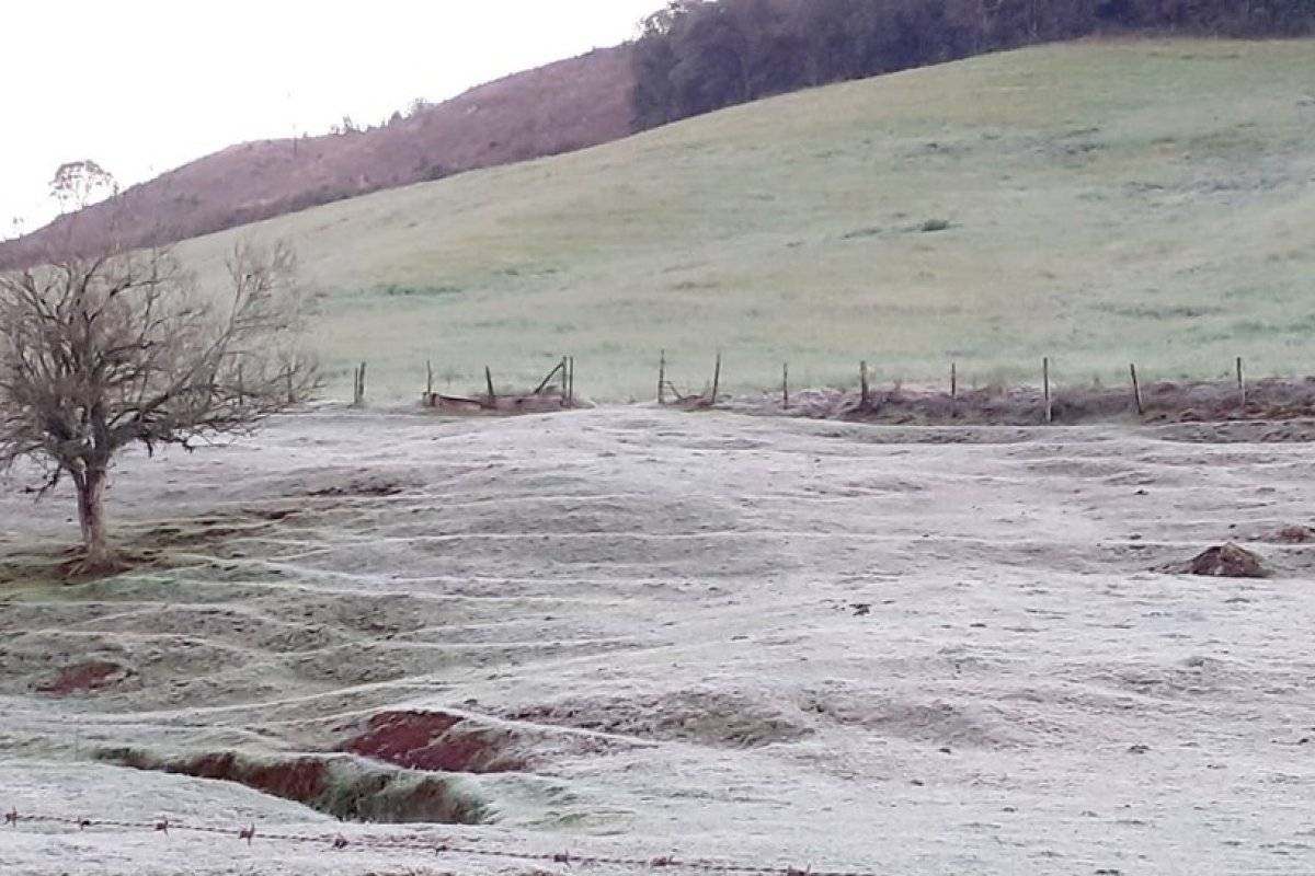 Rio Grande do Sul começa o sábado com temperaturas abaixo de zero