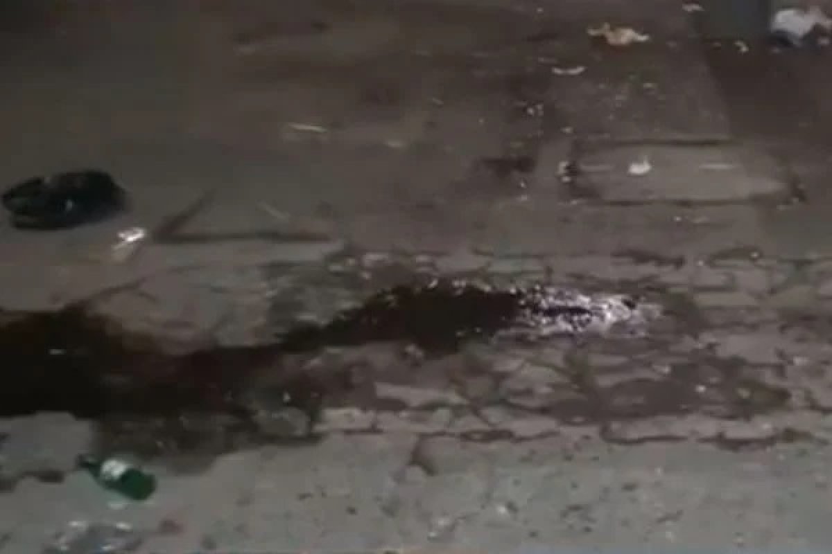 Palmeirense que matou dois torcedores do Santos é preso