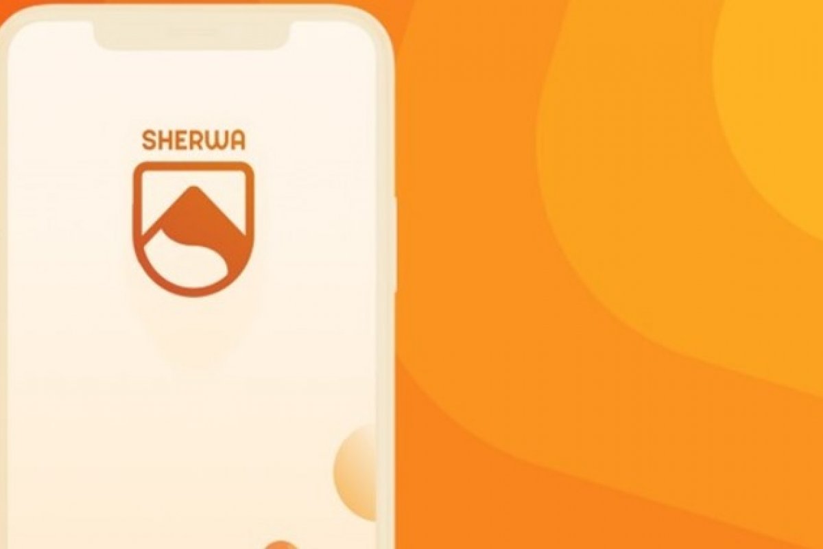Sherwa: aplicativo destinado a jogadores e treinadores de games online