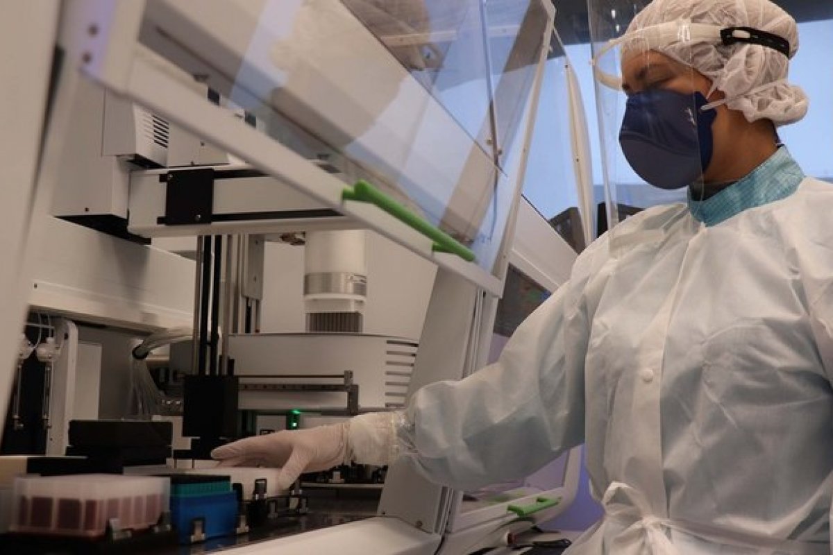 Pesquisa aponta que vitamina B12 pode bloquear a reprodução do vírus da Covid-19