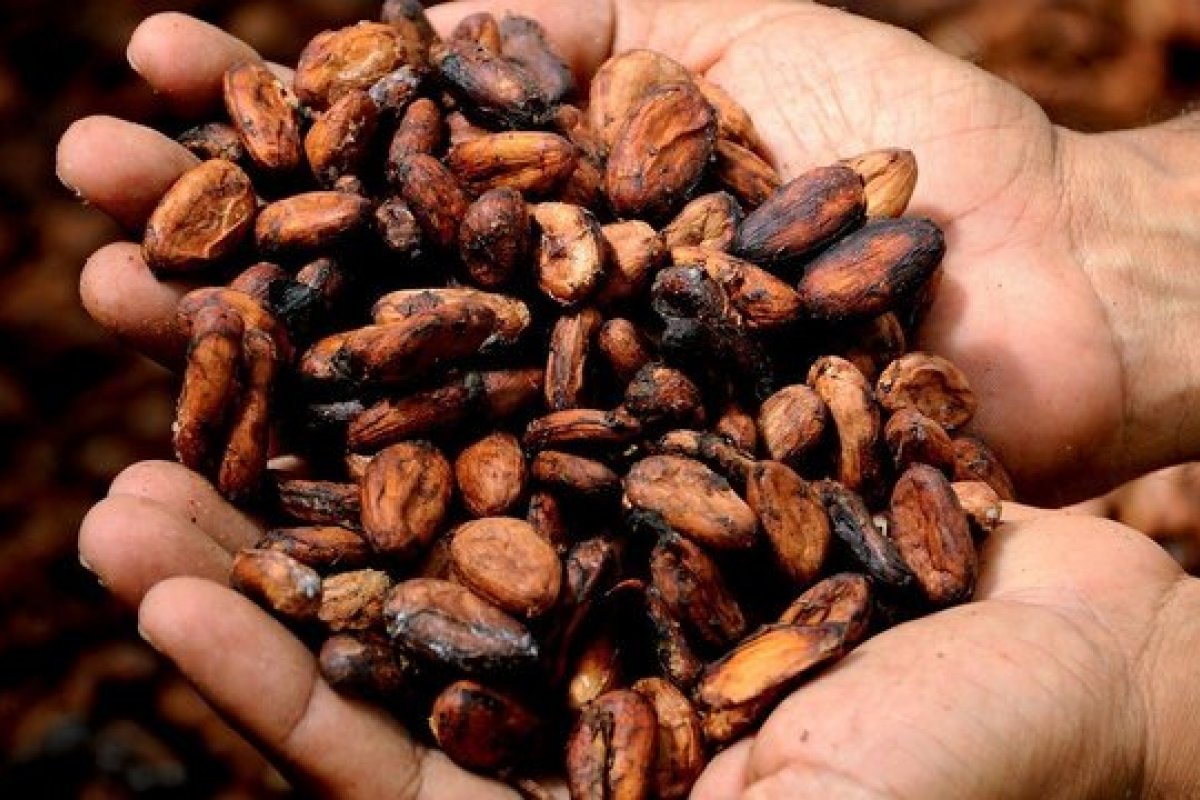 Registro de indicações geográficas em produtos tem aumento no Brasil