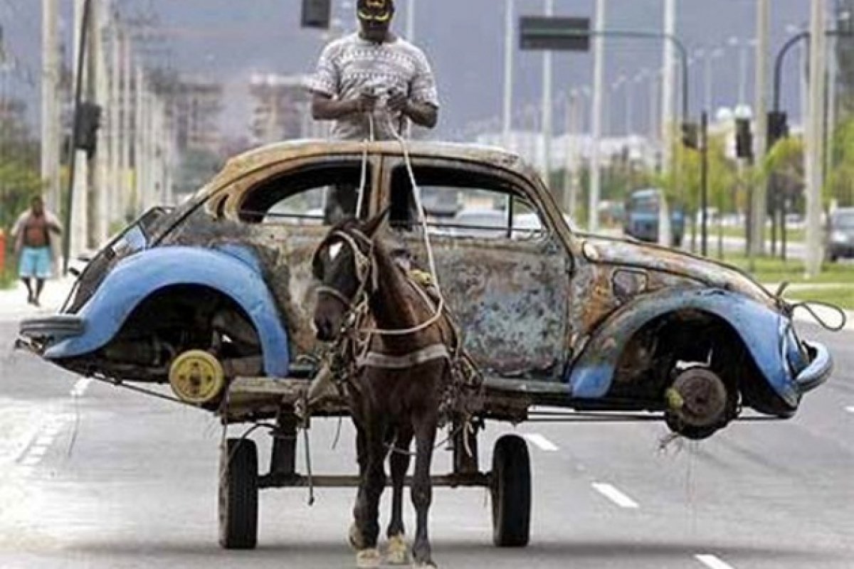 Câmara aprova proibição de veículos com tração animal