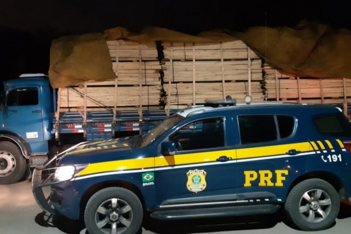PRF-BA apreende quantia de madeira transportada de forma ilegal na BR 101