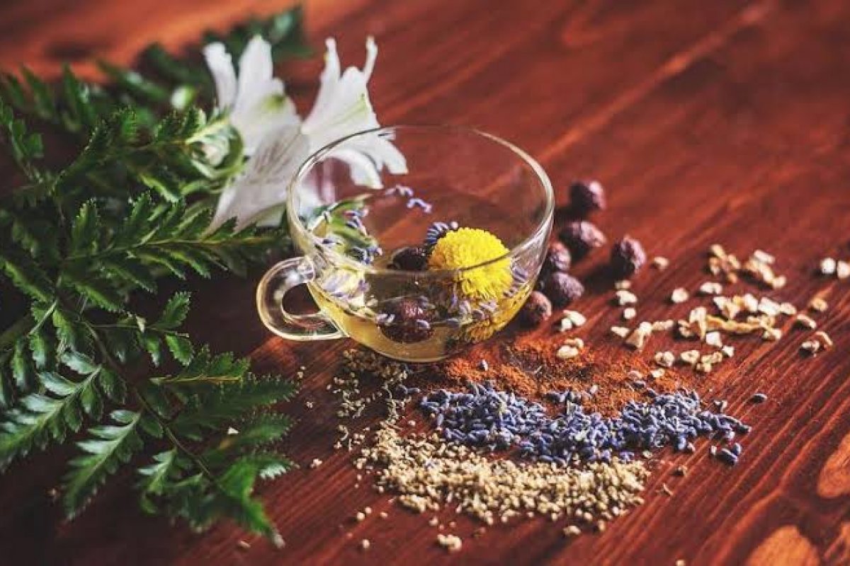 5 plantas medicinais que auxiliam na ansiedade e insônia