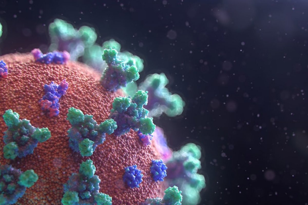 Ministério da Saúde volta a revogar portaria sobre estabilidade no trabalho para infectados com Covid-19