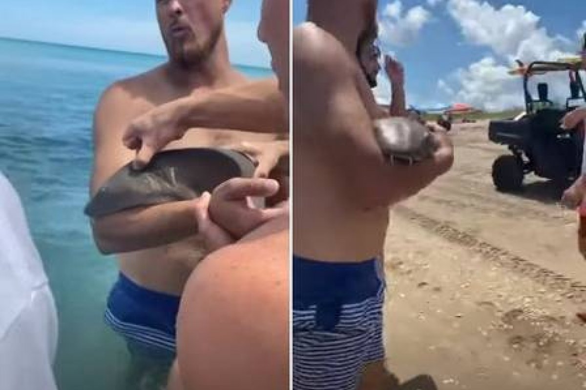 Veja vídeo: homem vai para hospital com tubarão no braço após receber mordida