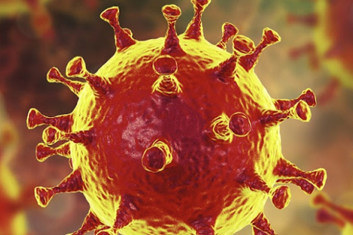 Brasil chega aos 4 milhões de infectados pelo coronavírus