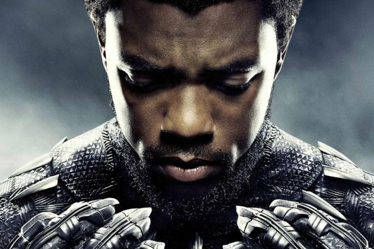 Escritores pedem Pantera Negra 2 com protagonista feminina