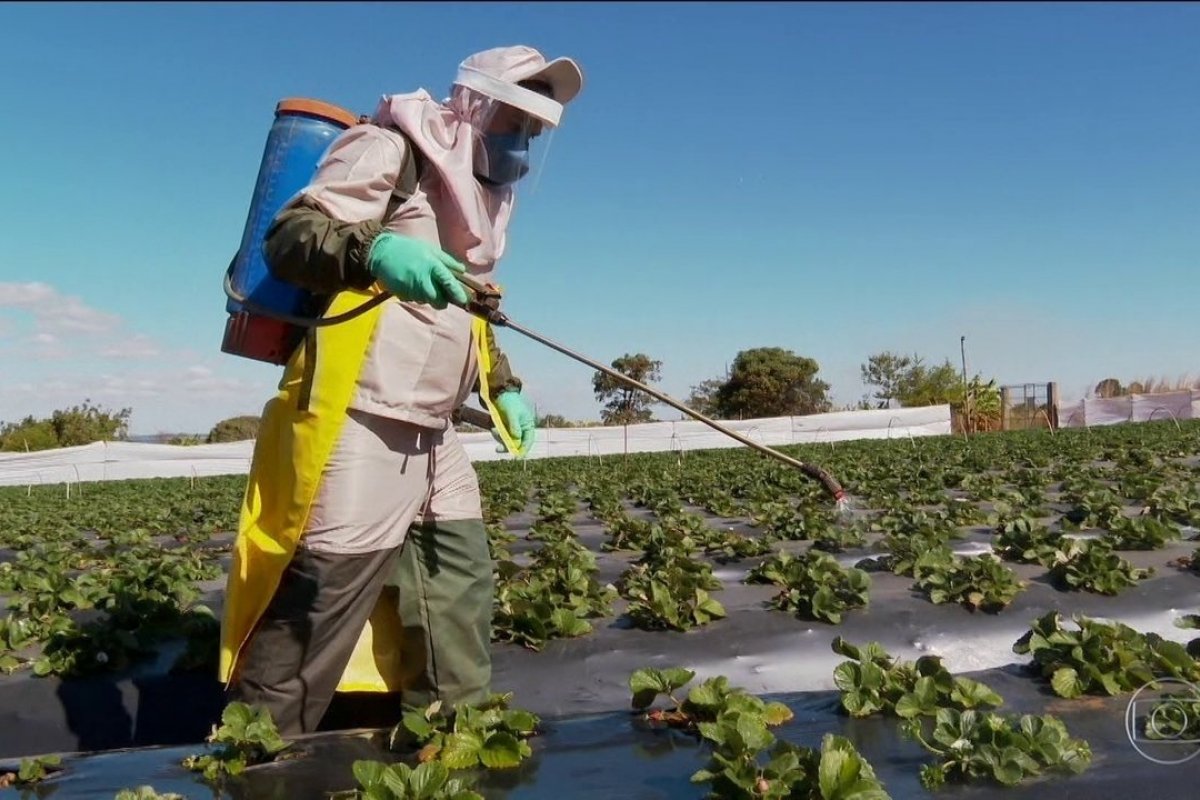 Anvisa muda regras para classificação de risco de agrotóxicos