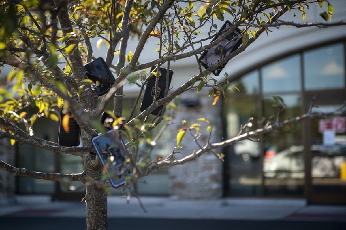 Motoristas parceiros da Amazon penduram celular em árvores para ter vantagens em entregas