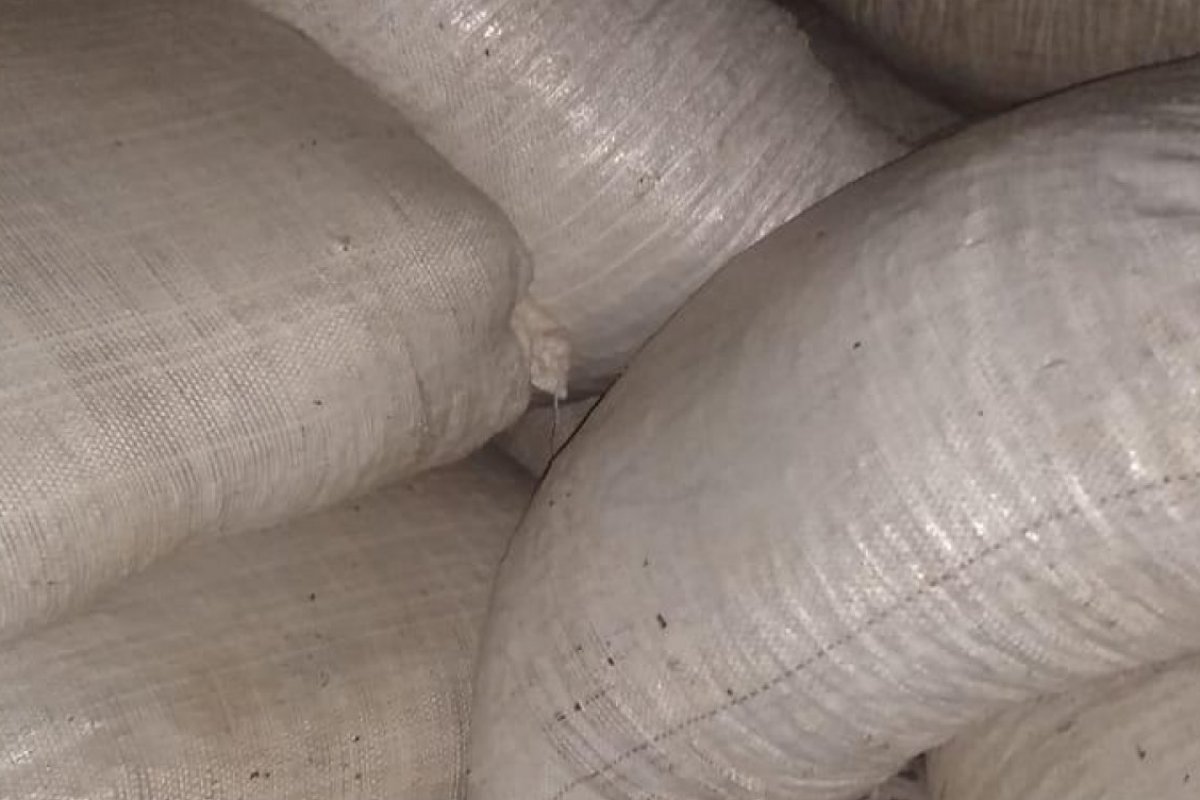 Carga de cacau avaliada em R$ 140 mil é recuperada pela polícia