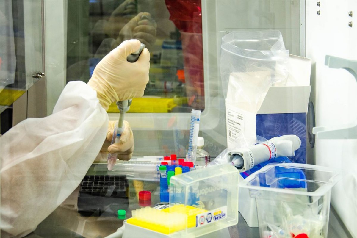 Veja os últimos dados da pandemia nesta terça-feira (8) 