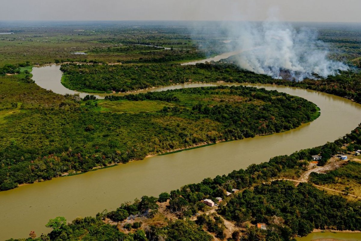 Incêndio no Pantanal ameaça parque com maior população de onças-pintadas do mundo