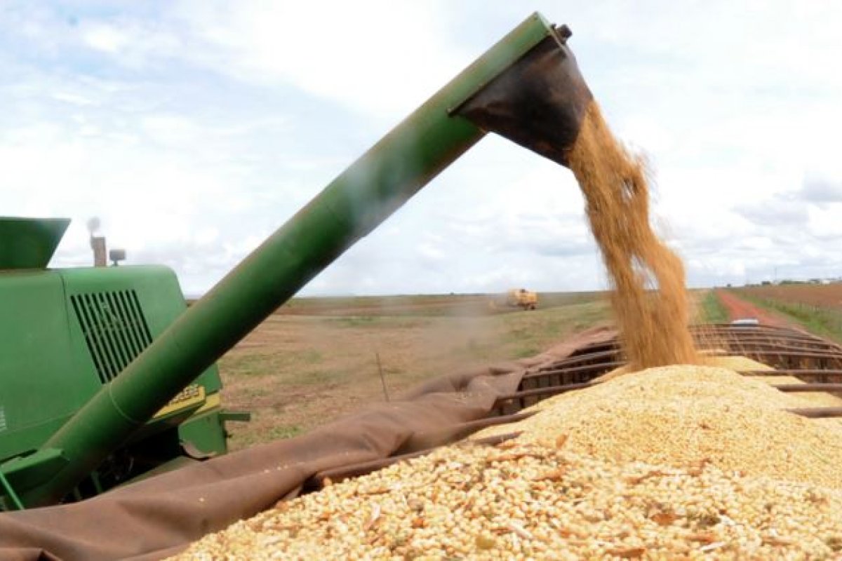 Governo pede que supermercados e produtores expliquem alta dos alimentos