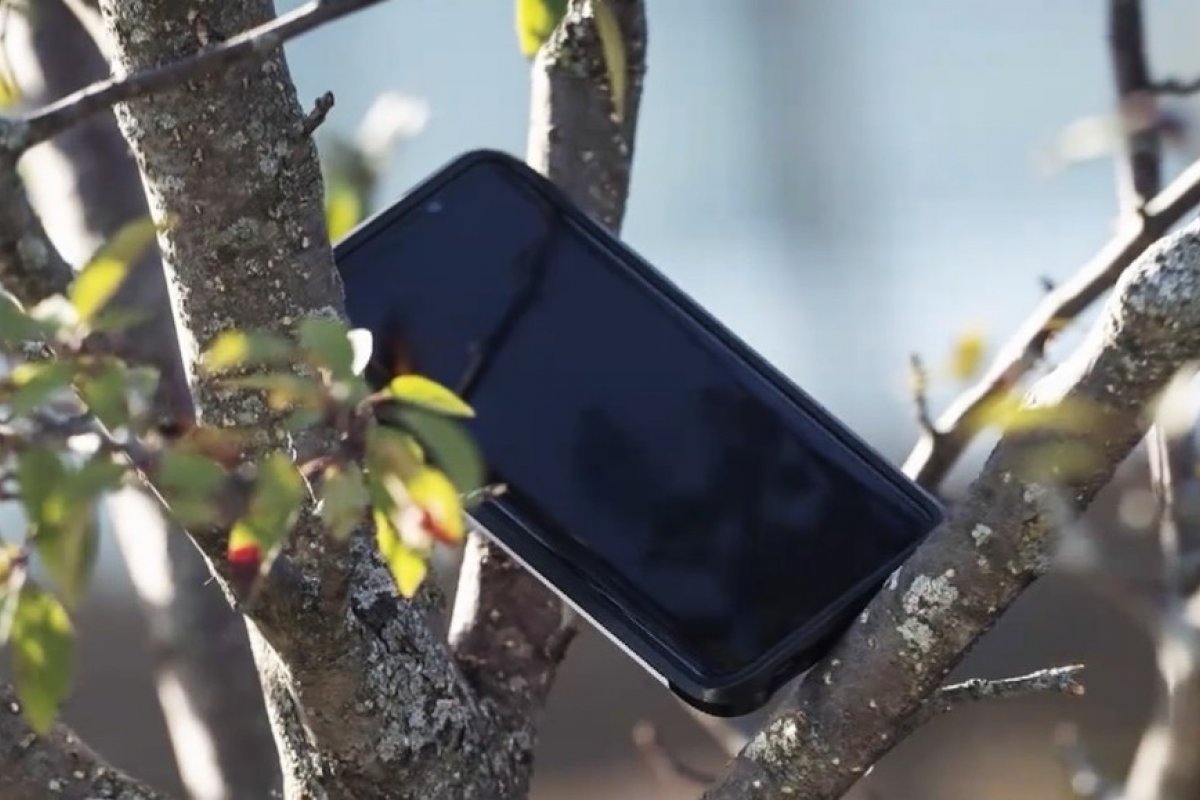 Amazon desarticula fraude dos celulares pendurados em árvores