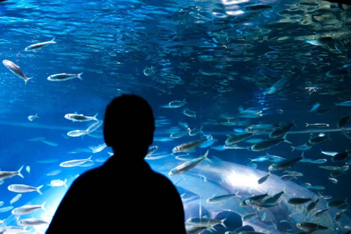 Entender os sinais para agir